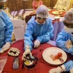 Associate Fellowship In Laser Dentistry 2022
