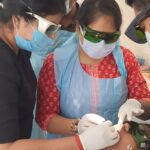 Dentistry Program