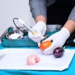 Dentistry Program